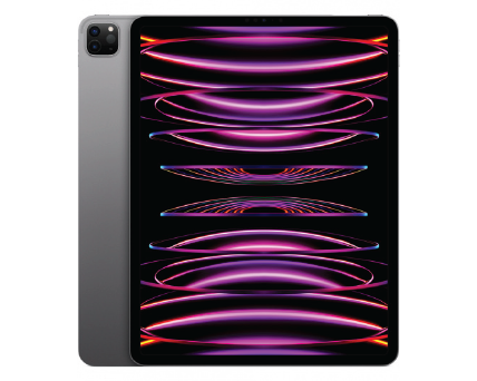 iPad Pro 11“ M2 Space Gray Cellular